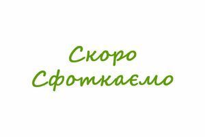 Прокат електровелосипедів у Івано-Франківську &mdash; обери свій клас комфорту фото